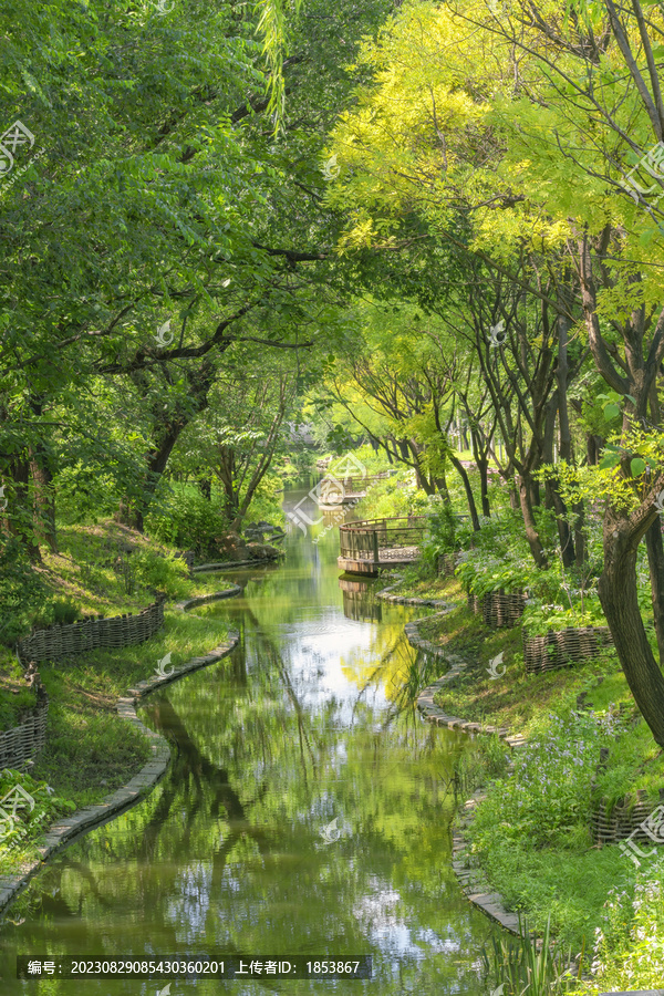 河道