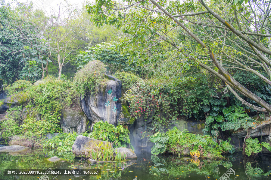 厦门植物园河岸知者若水石刻