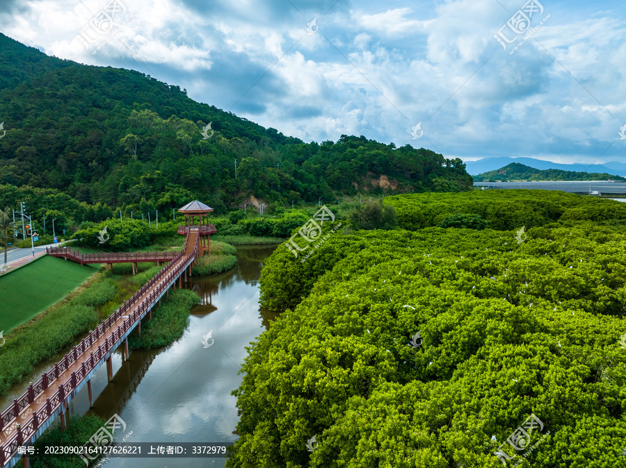 广东台山红树林鸟类自然保护区