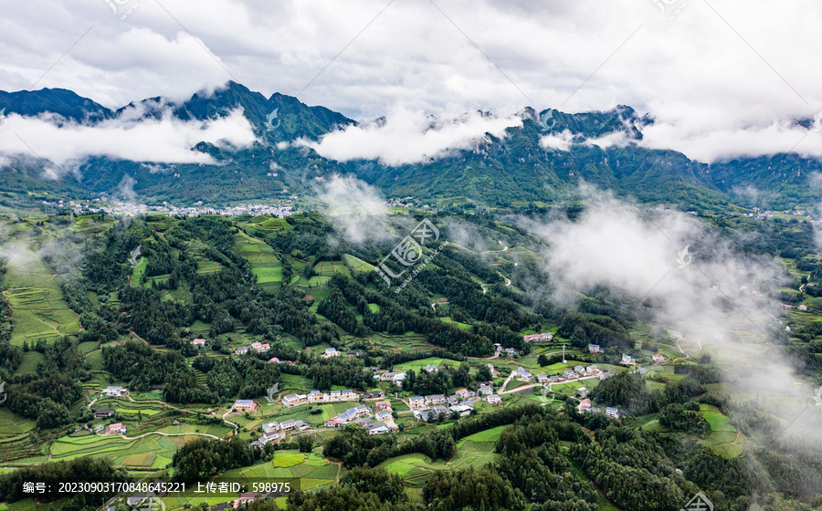 湖北恩施鹤峰木耳山茶园