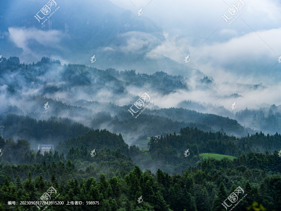 湖北恩施鹤峰木耳山茶园