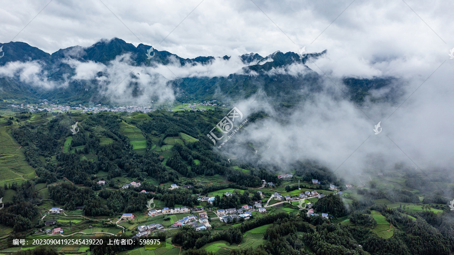 湖北恩施鹤峰木耳山茶园