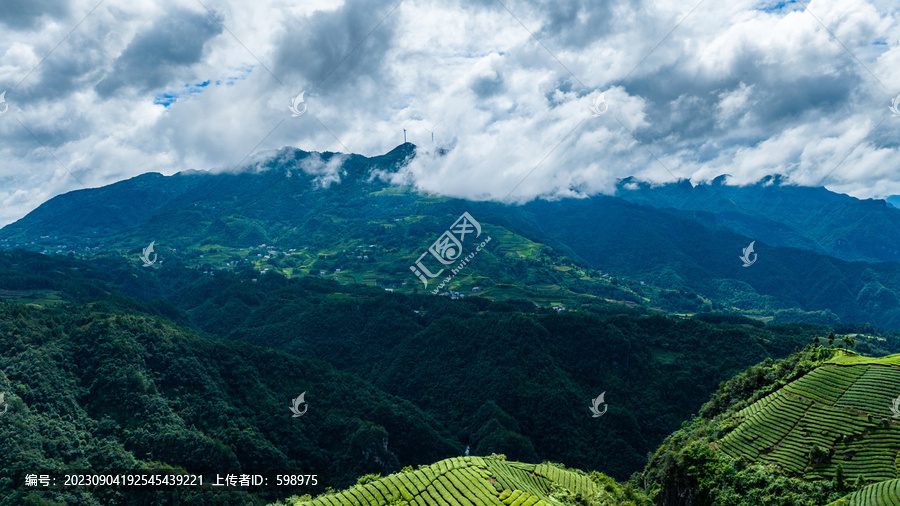 湖北恩施鹤峰木耳山茶园