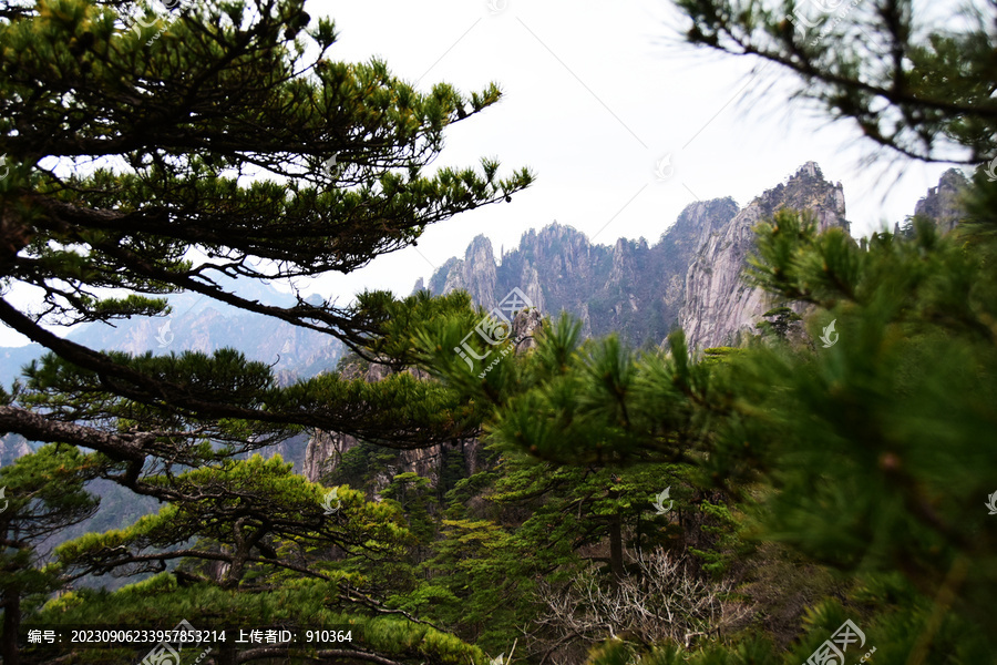 黄山