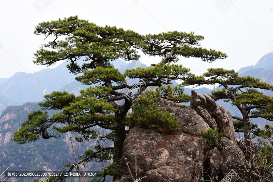 黄山美景