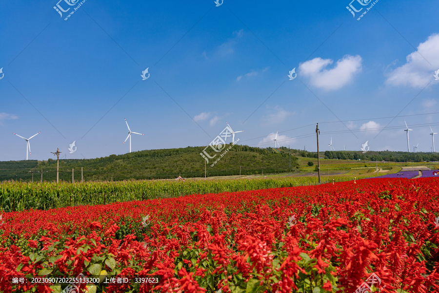 旅游欣张家口草原天路的风光