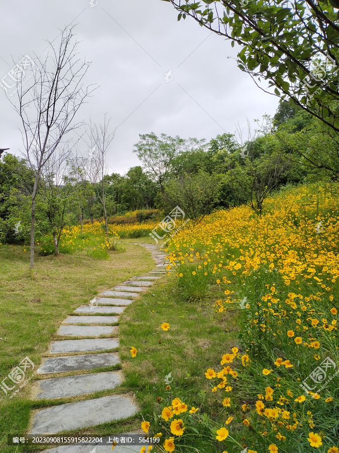 江苏宜兴梁祝故里英台阁石径