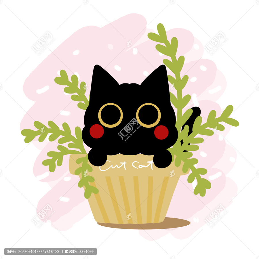 盆栽小黑猫