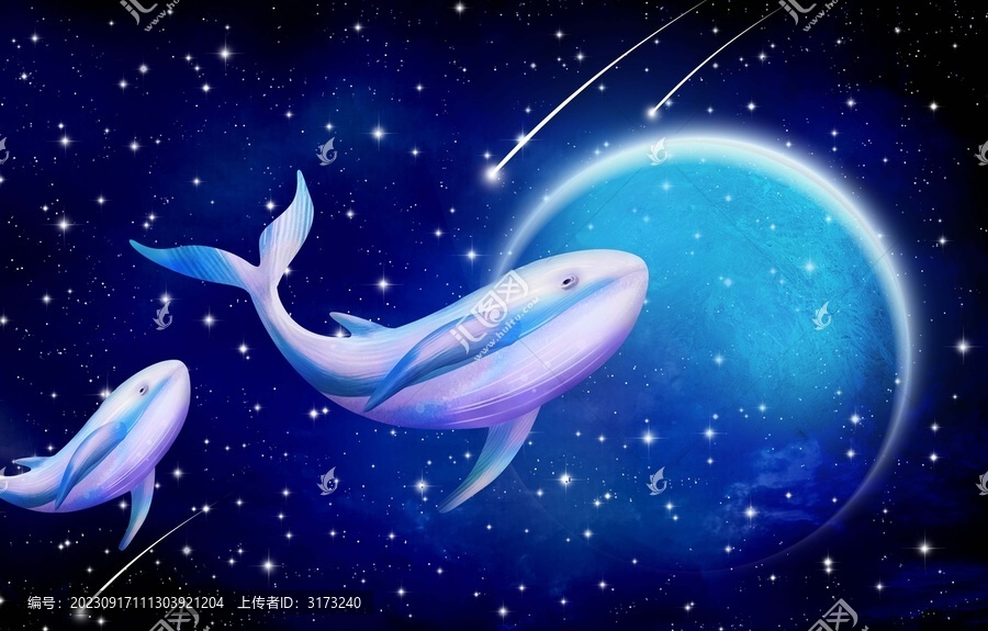 星空海豚
