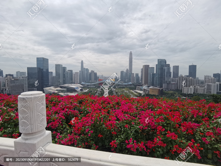 深圳莲花山眺望福田中心区