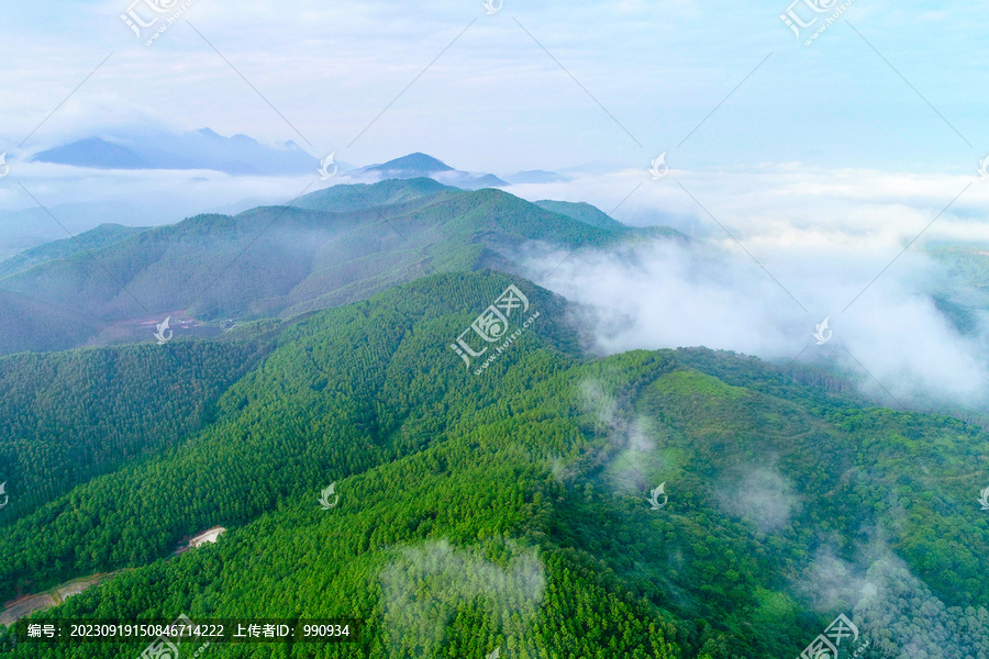 绿水青山就是金山银山