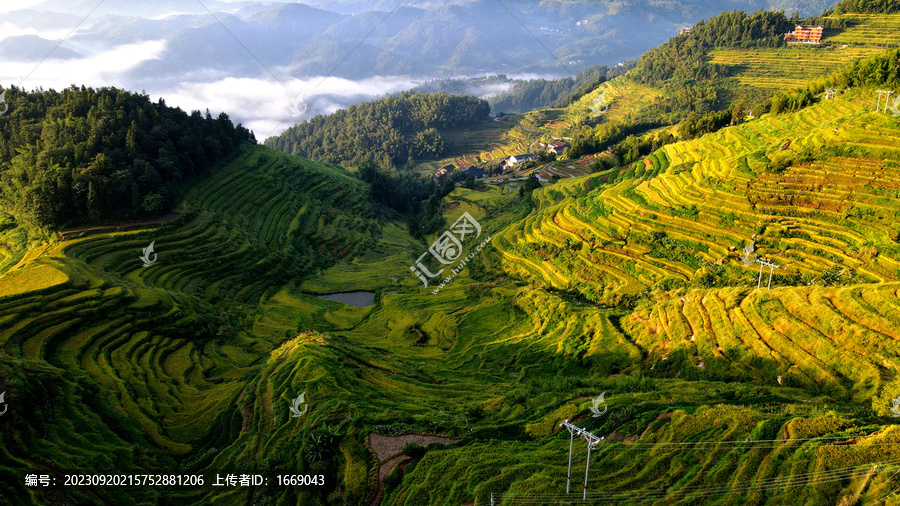 农业世界灌溉紫鹊界秋景航拍