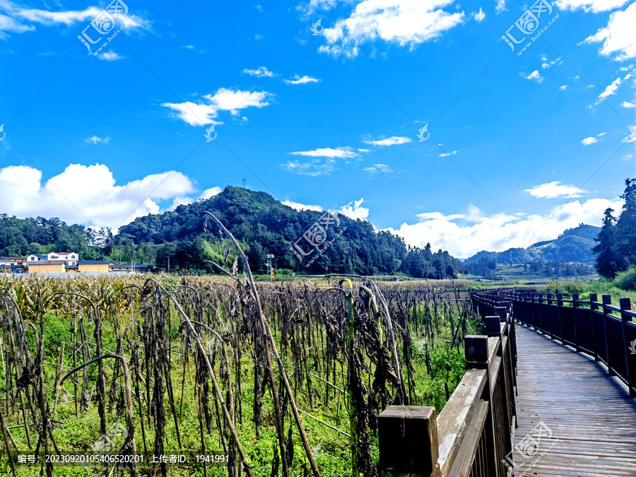 乡村旅游