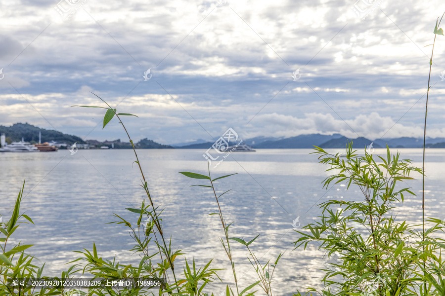 青山绿水