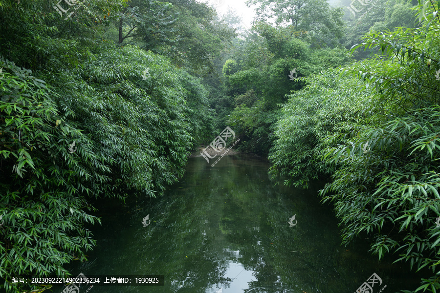 都江堰熊猫谷小溪风景