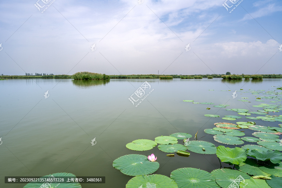 鸣翠湖国家湿地公园