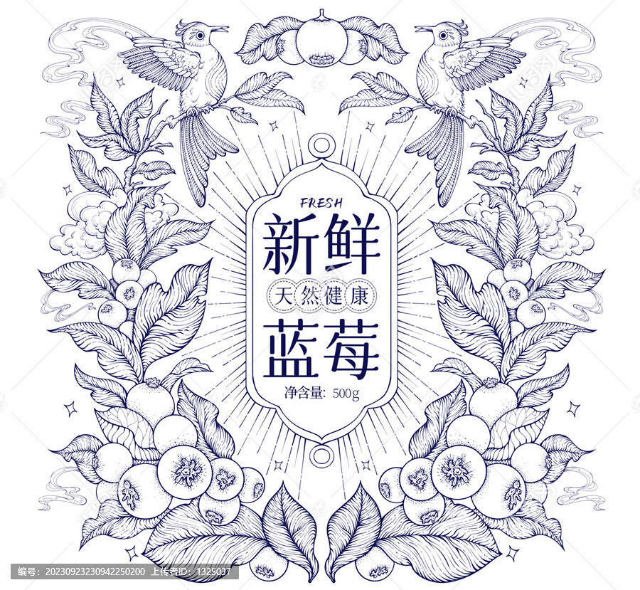 蓝莓铜版画包装礼盒插画