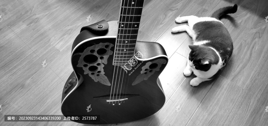 英短猫与吉他黑白照