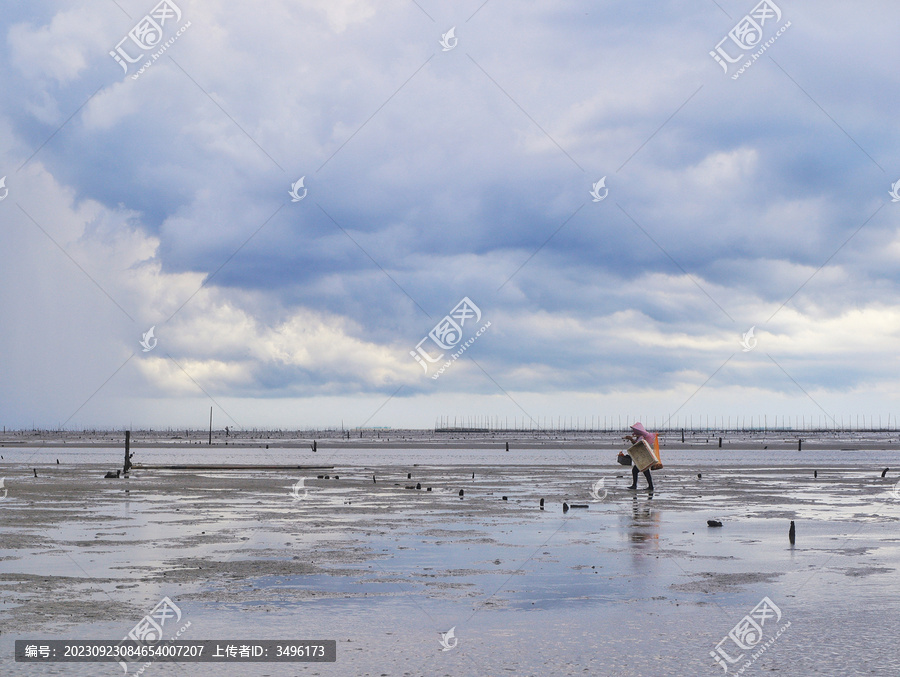 赶海归来