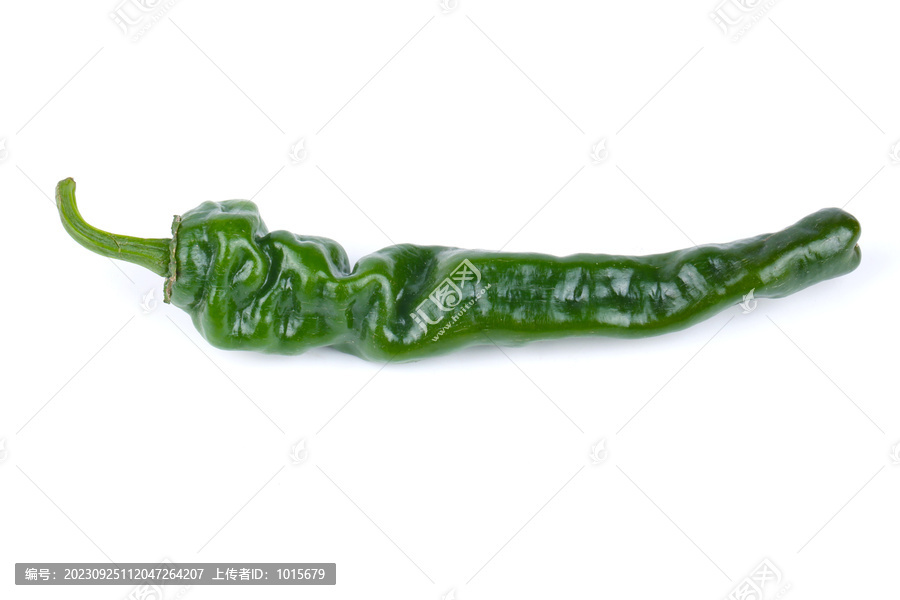 皱皮椒