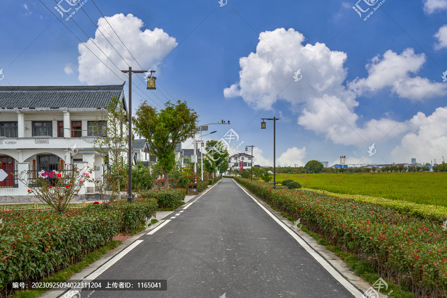 新农村柏油路