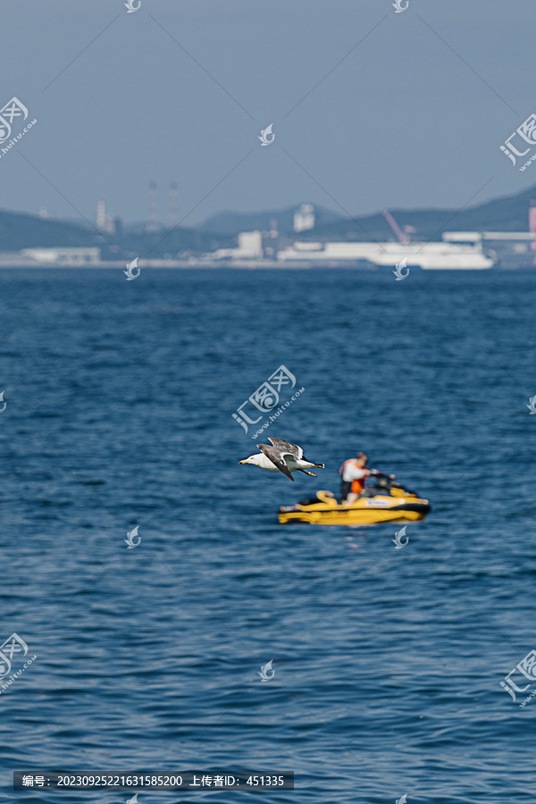 海鸥与摩托艇