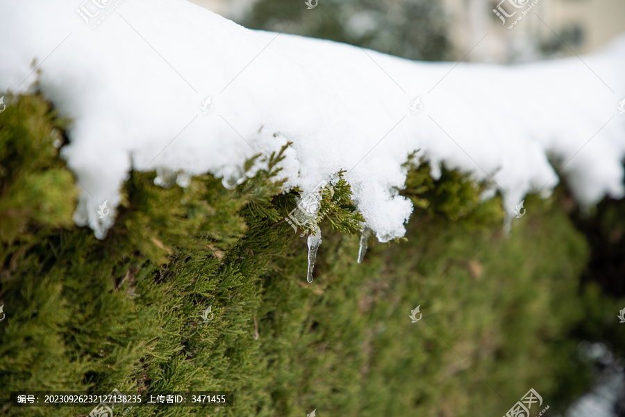 大雪