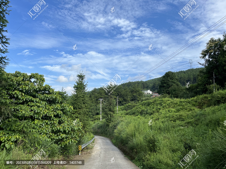 乡村风景