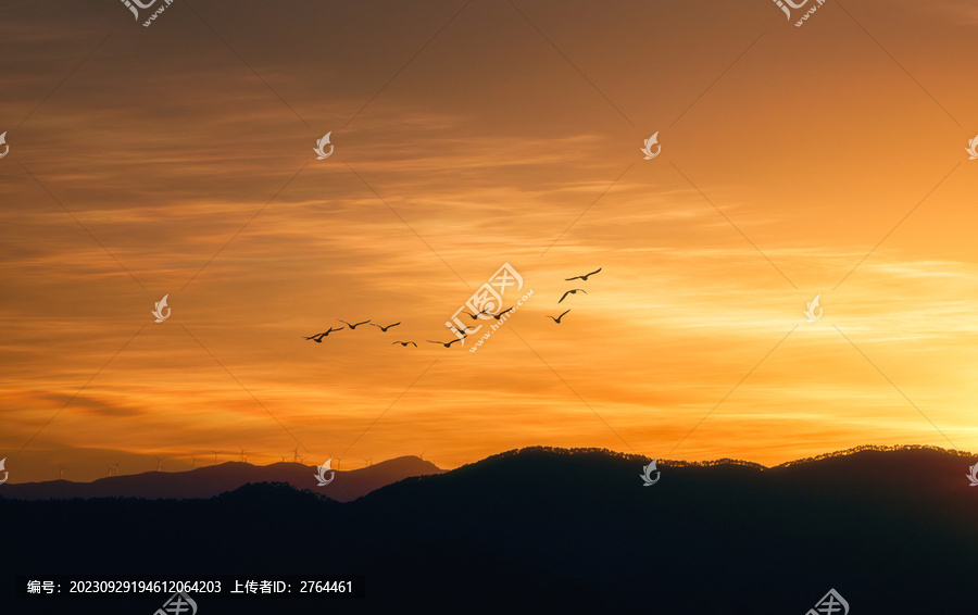 黄昏山间的天空飞鸟