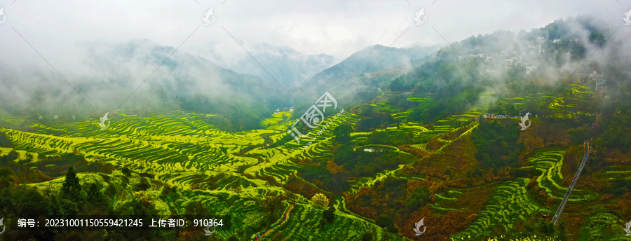 篁岭大景