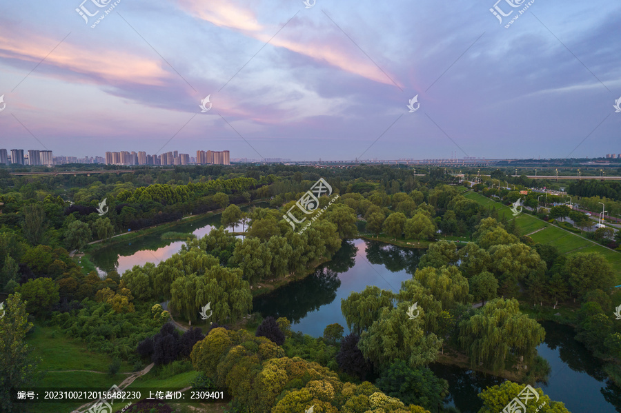 渭河湿地