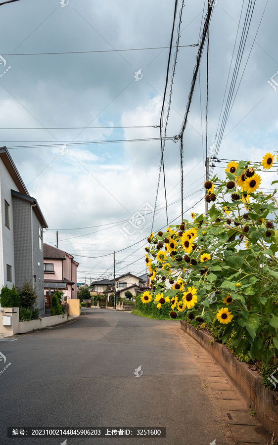 日本小城风貌