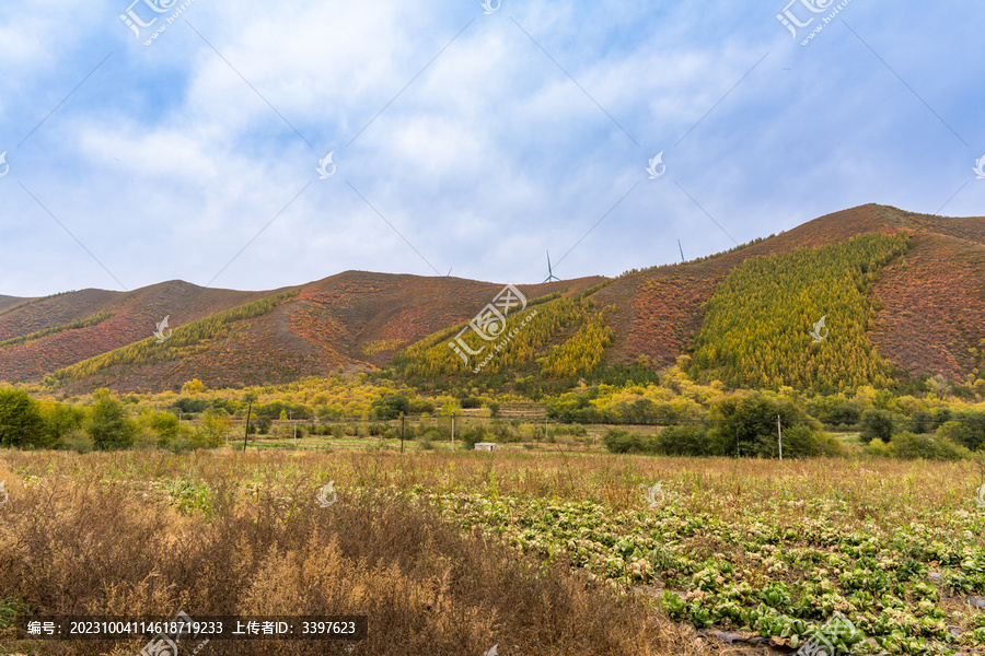 张北草原桦皮岭的秋季美景