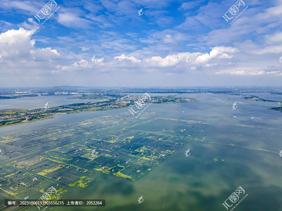 阳澄湖大闸蟹养殖区航拍