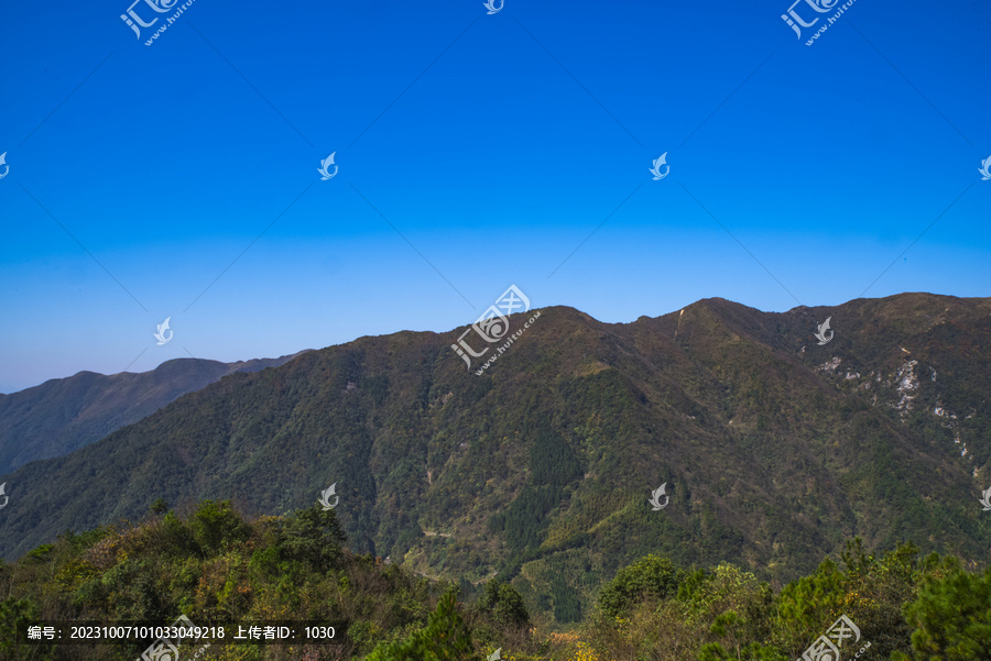 高山大山植被山景