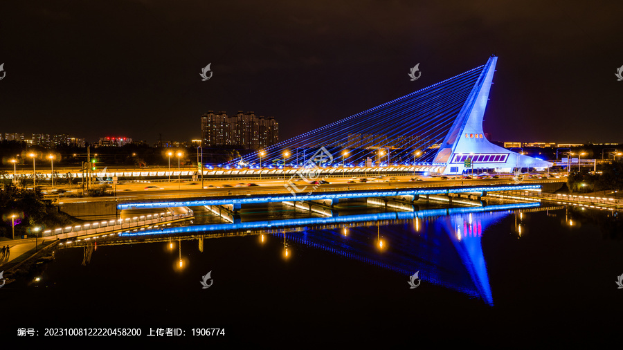 夏季的中国长春卫星大桥夜景