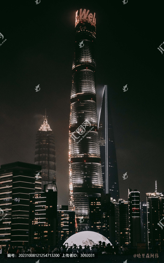 上海城市三件套竖版夜景