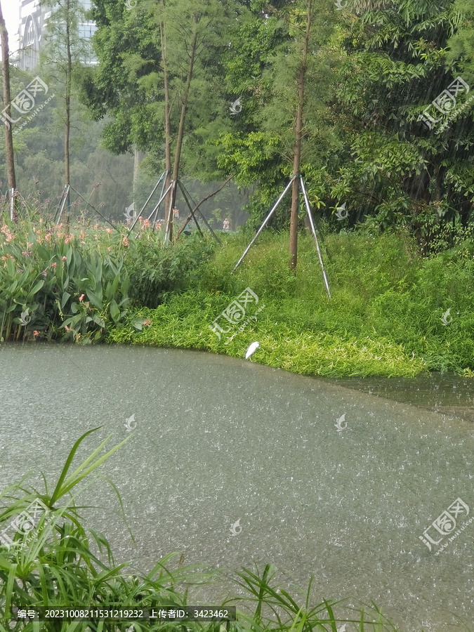 下雨时的深圳洪湖公园