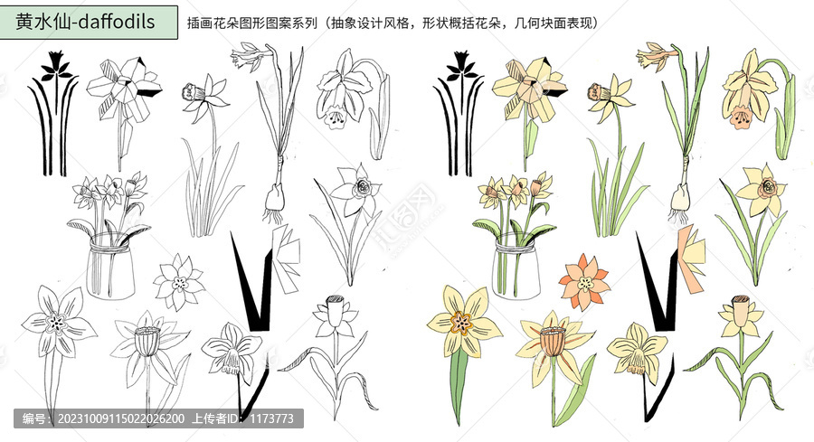 手绘黄水仙抽象风格插画