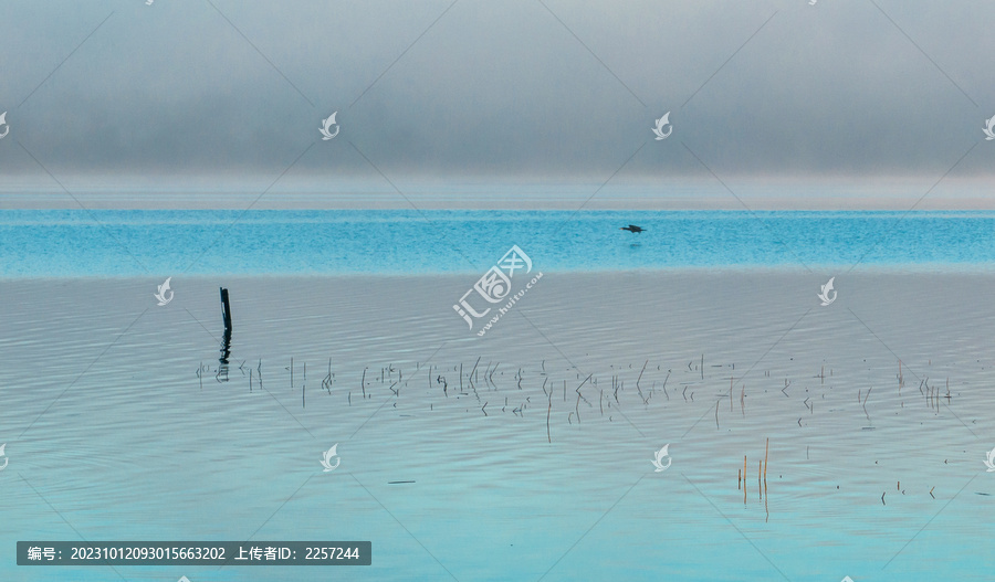 湿地与湖面