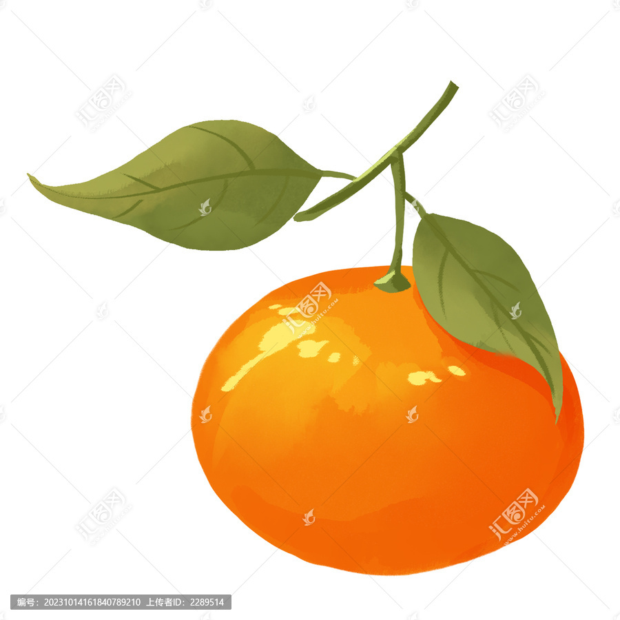 橘子水果手绘