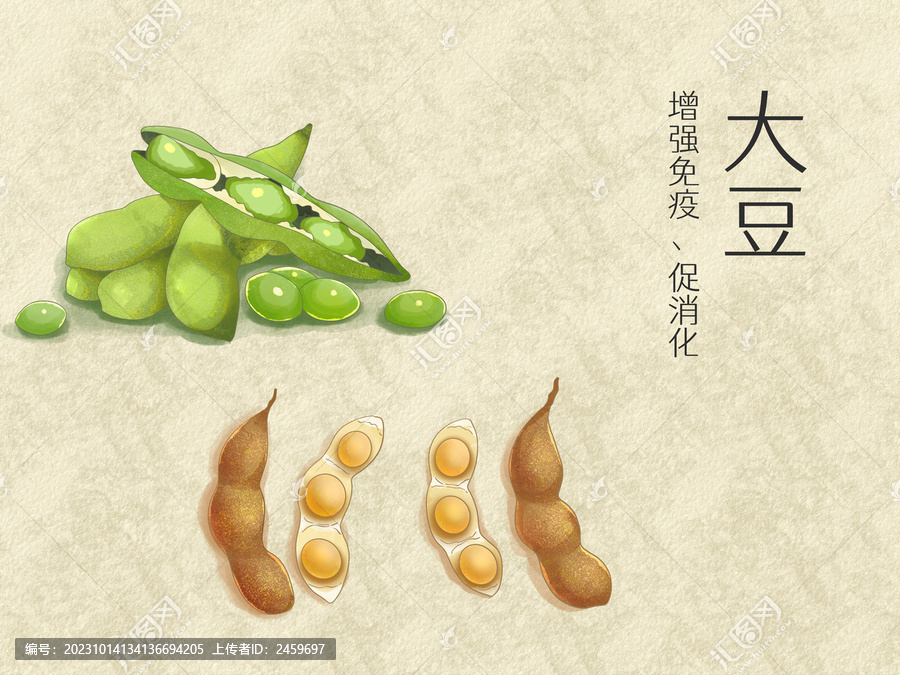 手绘水彩蔬菜大豆插画