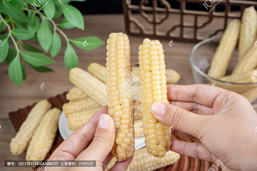 拇指糯玉米