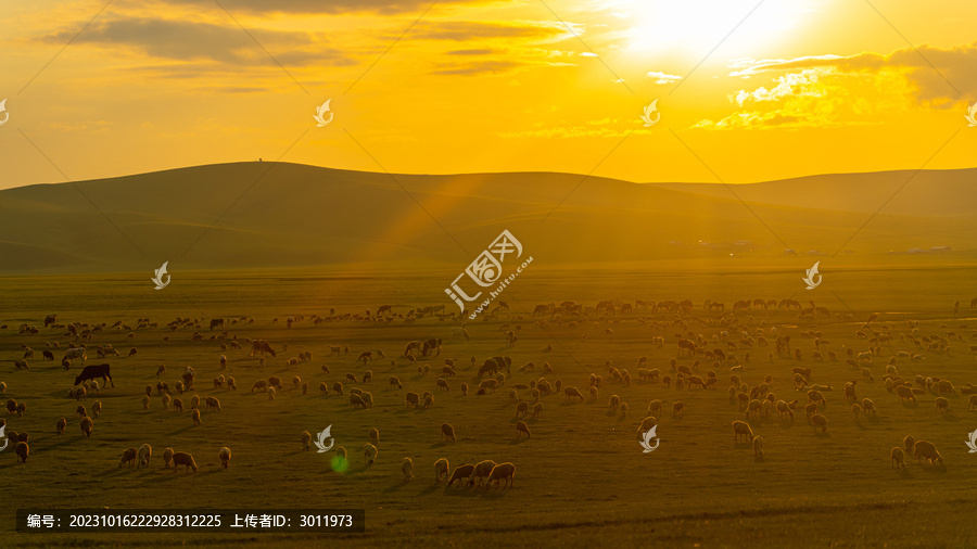 内蒙古大草原