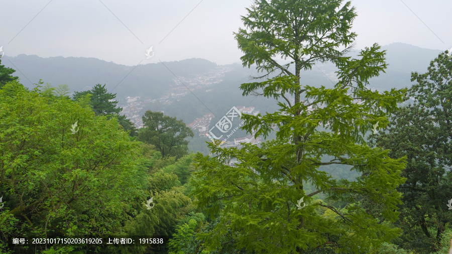 风景画九华山美景