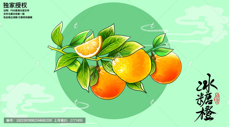 手绘冰糖橙插画