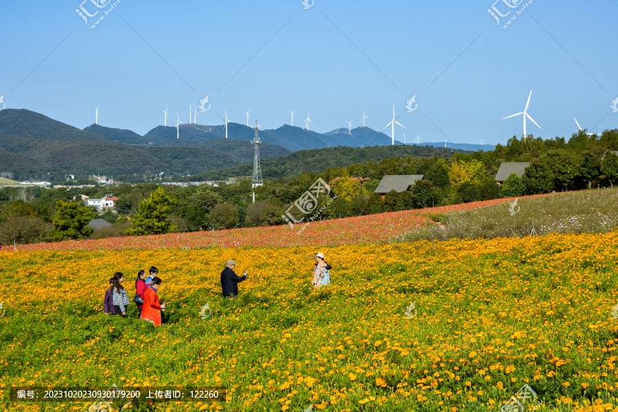 花海