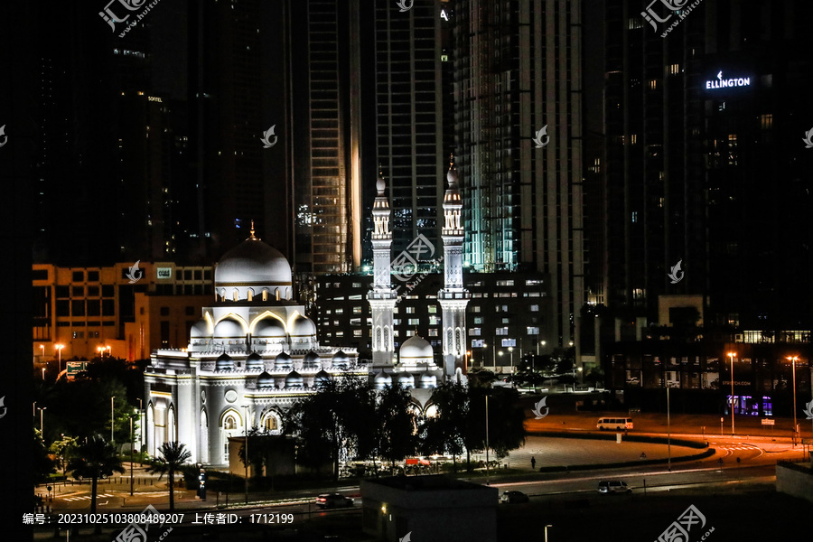 阿联酋迪拜市区清真寺夜景