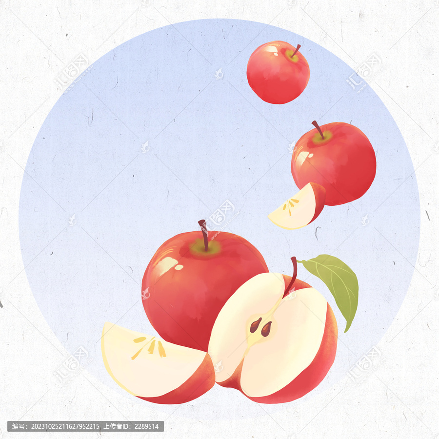 苹果大雪24节气插画