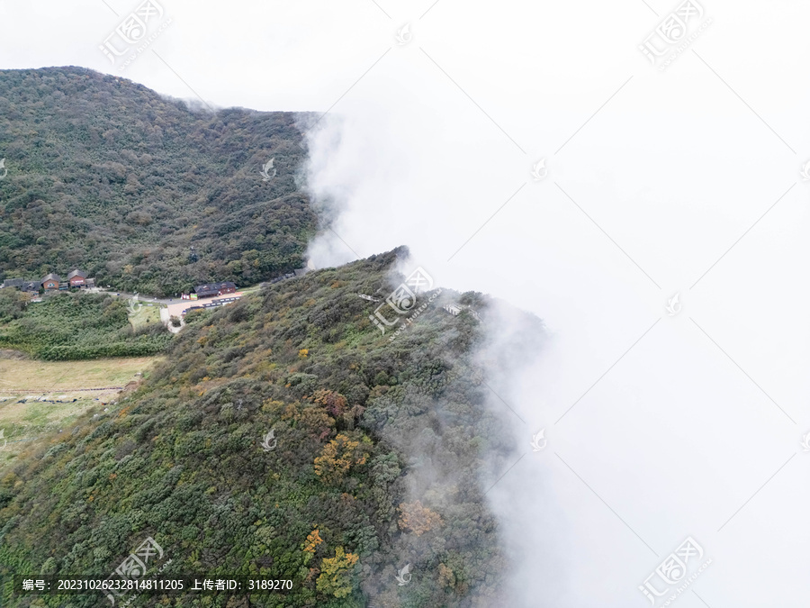 金佛山山顶云海